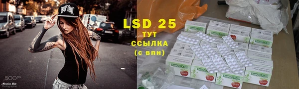 молекула духа Алексеевка