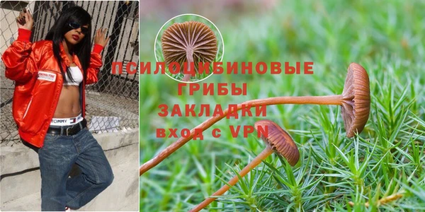 амфетамин Абинск