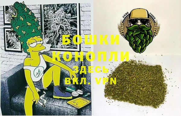 spice Абаза