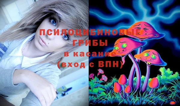 spice Абаза