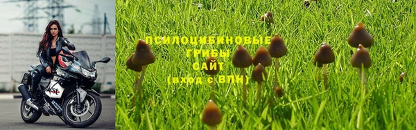 героин Алзамай