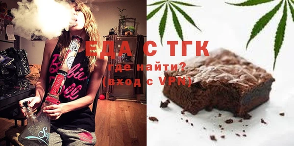 индика Протвино