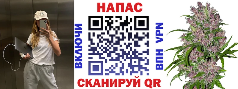 Конопля планчик  hydra как войти  Сокол  наркошоп 