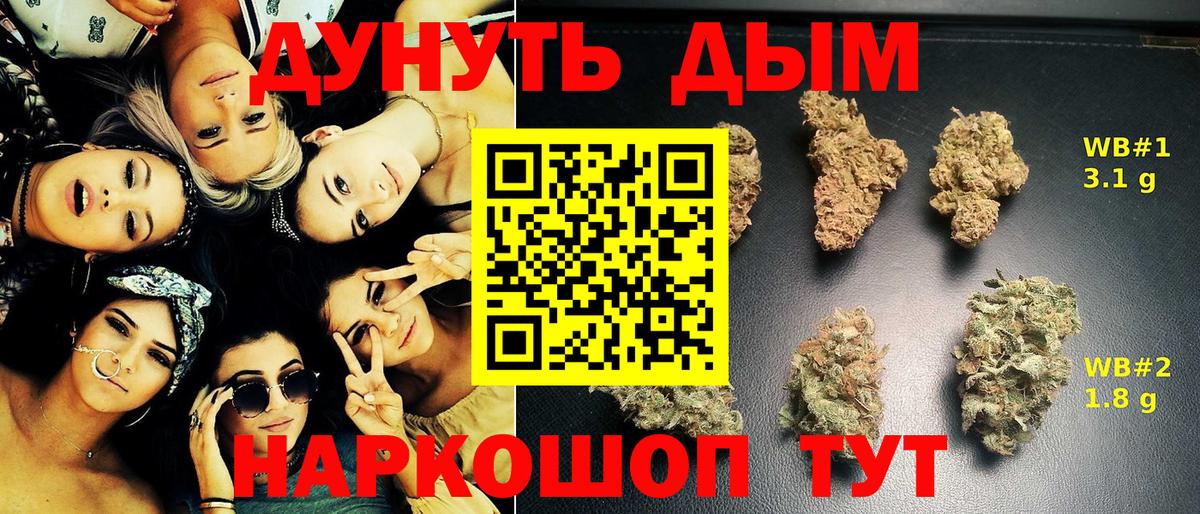 Бошки марихуана THC 21% Сокол